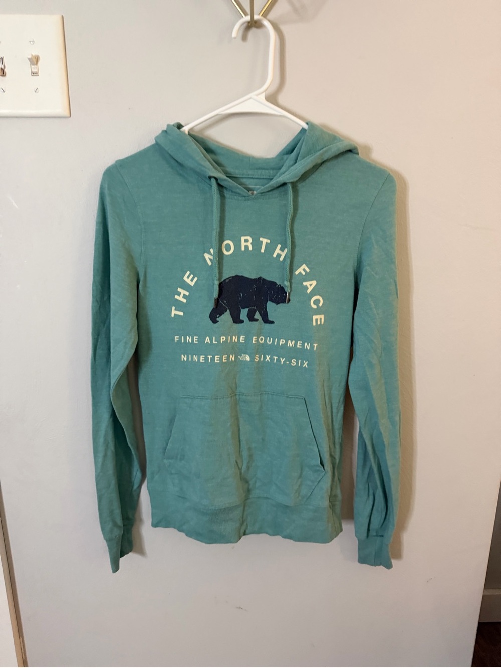 The North Face Teal Green Bear Graphic Hoodie